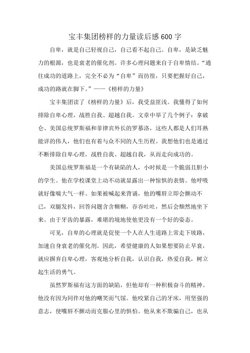 宝丰集团榜样的力量读后感600字