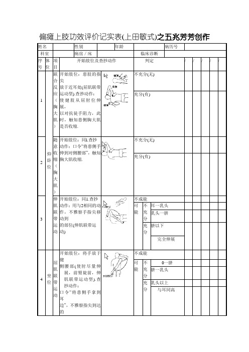 上田敏评定表