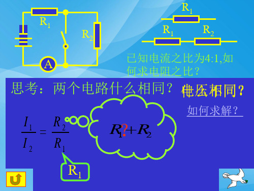 测量小灯泡的电阻物理课件PPT