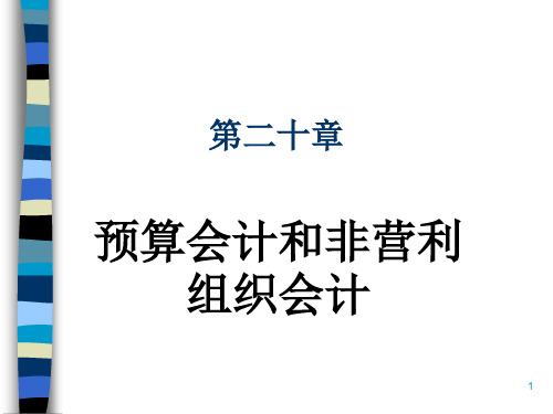 预算会计与非营利组织会计介绍(ppt 63页)