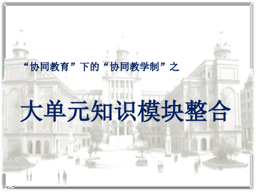 初一数学集体备课之一元一次方程大单元整合(新)