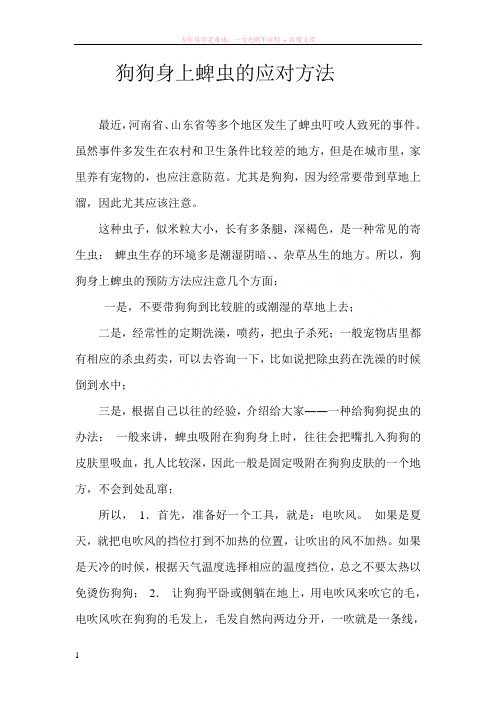 狗狗身上蜱虫的应对方法