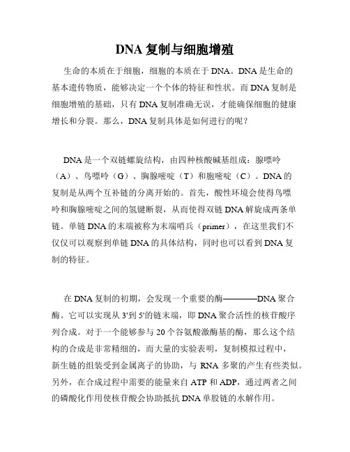 DNA复制与细胞增殖