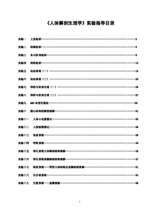 《人体解剖生理学》实验指导（07.3）