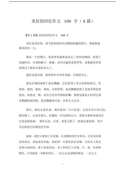 美好的回忆作文500字(6篇).docx