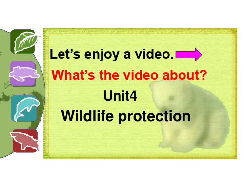 高中英语人教新课标必修二Unit4WildlifeProtection-Reading课件