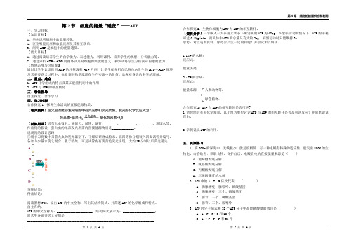 第2节细胞的能量'通货'——ATP