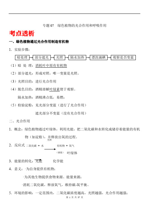 中考生物核心考点解析卷-专题07 绿色植物的光合作用和呼吸作用