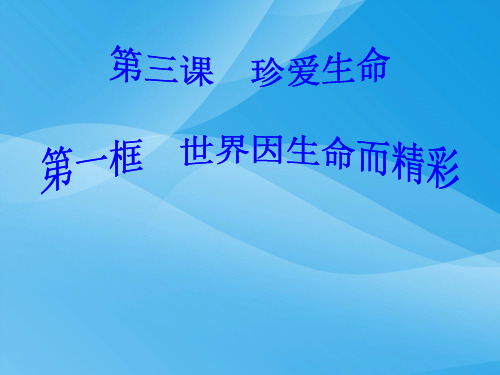 世界因生命而精彩ppt优秀课件8 人教版