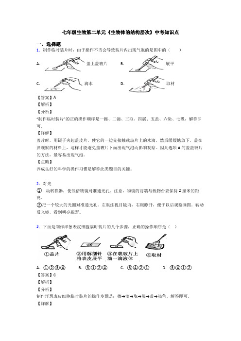 七年级生物第二单元《生物体的结构层次》中考知识点