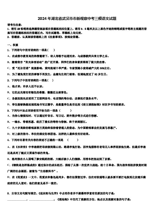 2024年湖北省武汉市市新观察中考三模语文试题含解析