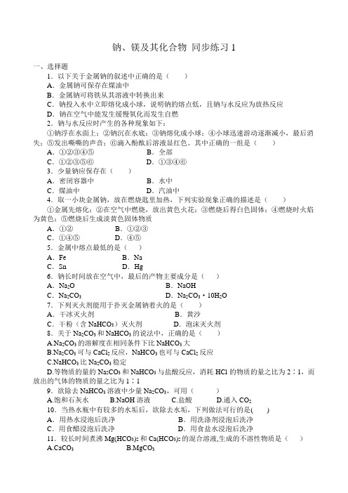 高中化学钠、镁及其化合物 同步练习1苏教版 必修1