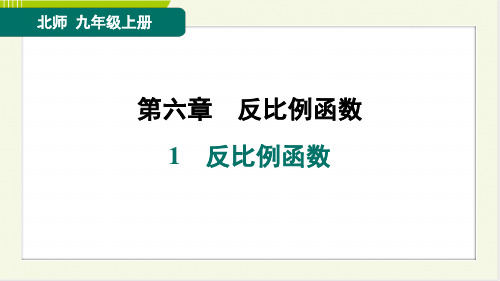 2024年北师大版九年级上册数学第六章反比例函数第1节反比例函数