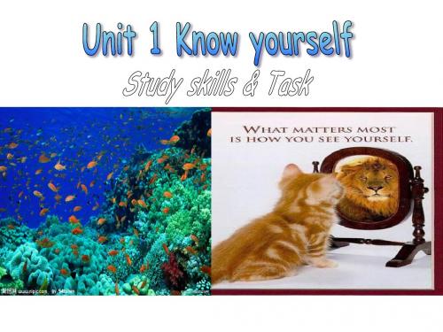 牛津译林版 9A英语九年级上册 Unit1 Study skills Task课件