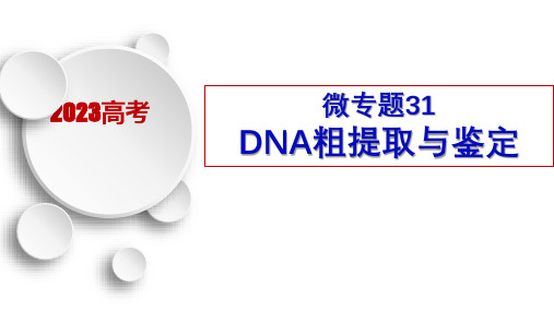 DNA粗提取与鉴定-2023年高考生物一轮复习(新高考专用)