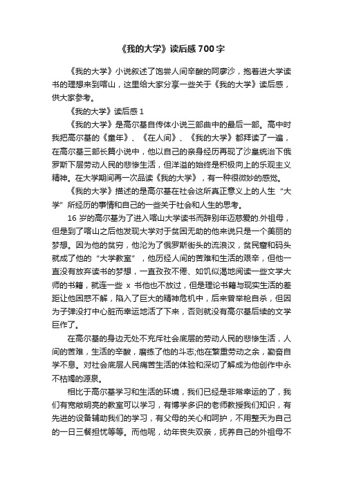 《我的大学》读后感700字