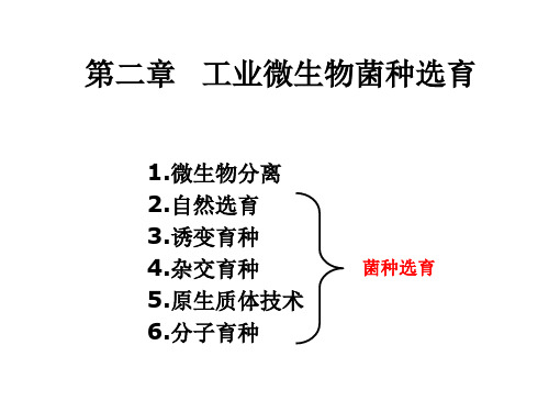 菌种选育理论和技术