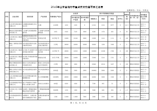 2016年山东省潍坊市重点技术改造项目汇总表