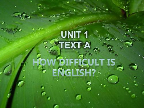 试点本科英语2课件-unit 1-text A