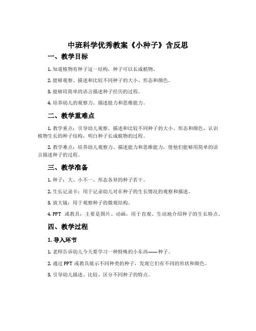 中班科学优秀教案《小种子》含反思