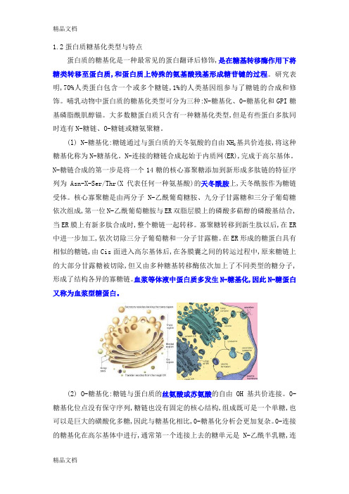 蛋白质糖基化类型与点知识分享