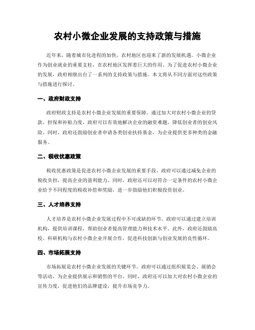 农村小微企业发展的支持政策与措施