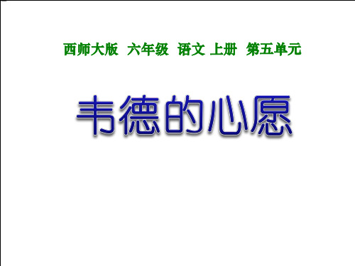 【语文课件】《韦德的心愿》    教学PPT