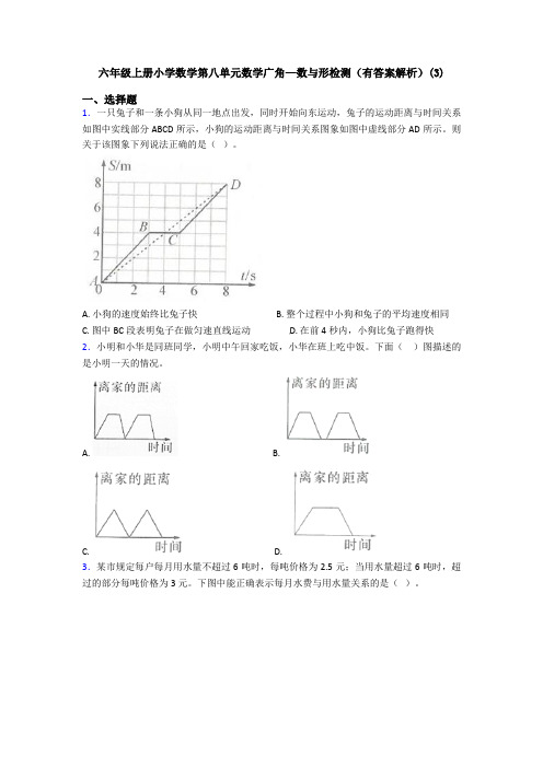 六年级上册小学数学第八单元数学广角—数与形检测(有答案解析)(3)