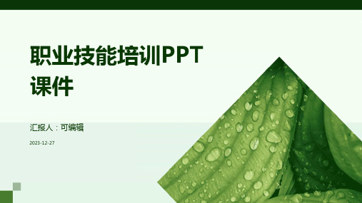 职业技能培训ppt课件