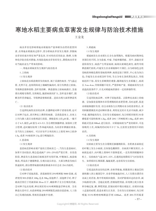 寒地水稻主要病虫草害发生规律与防治技术措施