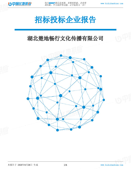 湖北楚地畅行文化传播有限公司-招投标数据分析报告