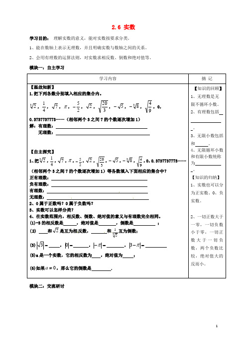 广东省河源中国教育学会中英文实验学校八年级数学上册 第2章 第6节《实数》讲学稿(无答案)(新版)北