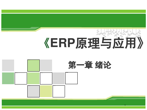 ERP原理与应用第一章PPT课件