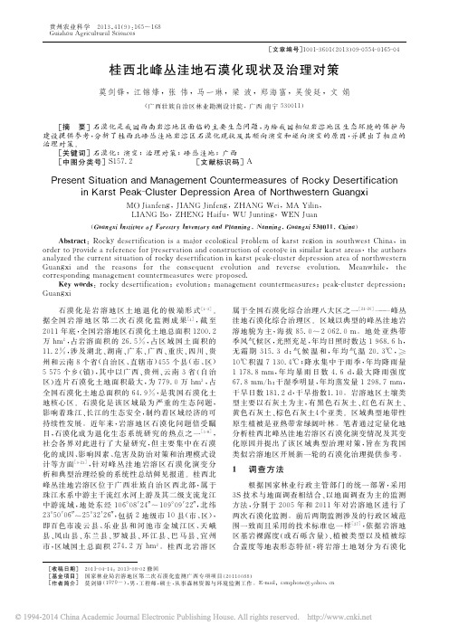 桂西北峰丛洼地石漠化现状