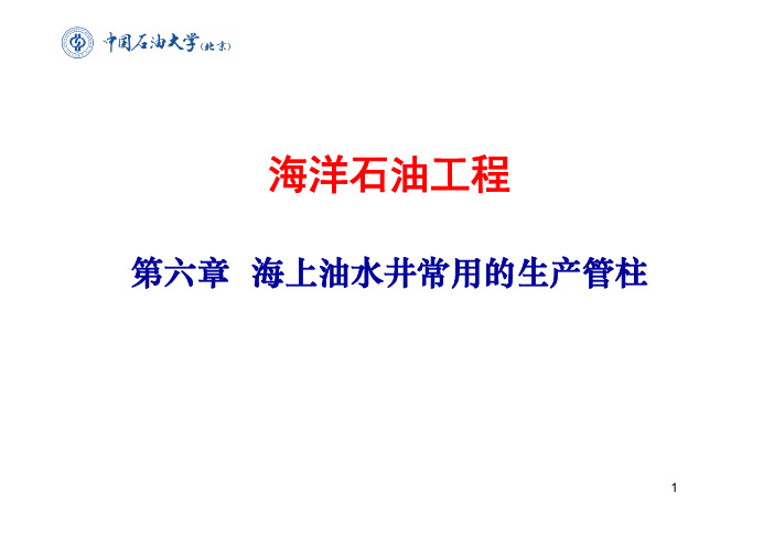 第六章  海上油水井常用的生产管柱