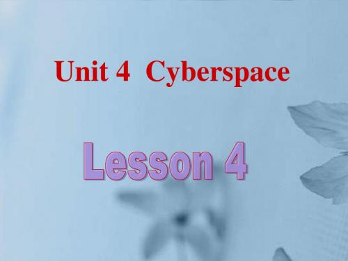 北京市房山区周口店中学高中英语《Unit 4 Cyberspace-Lesson 4》课件 北师大版必修1