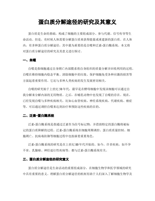 蛋白质分解途径的研究及其意义