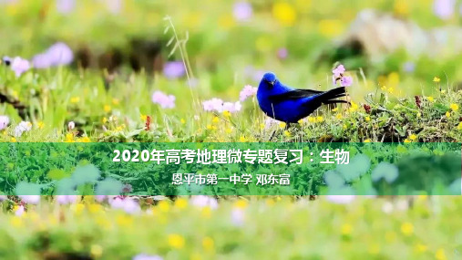 2020年高考地理微专题复习：生物(共19张PPT)