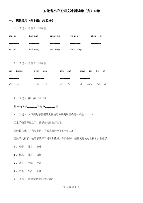 安徽省小升初语文冲刺试卷(九)C卷