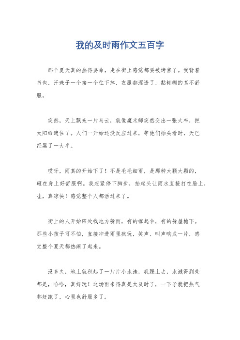 我的及时雨作文五百字