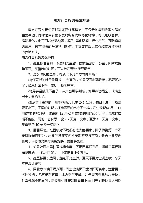 南方红豆杉的养殖方法