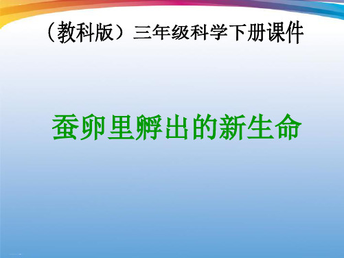 三年级下册科学课件蚕卵里孵出的新生命 教科版 PPT名师课件