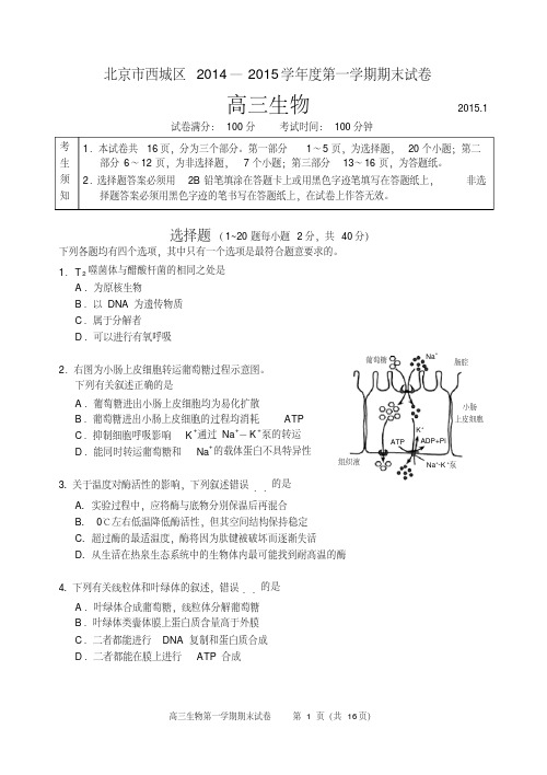 2015年1月西城区高三生物试题