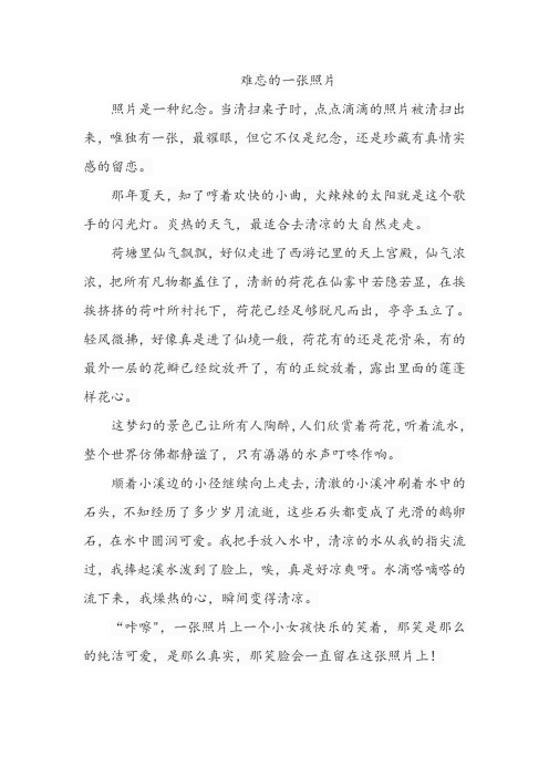 难忘的一张照片六年级作文450字