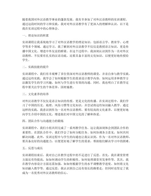 对外汉语教师实训心得体会