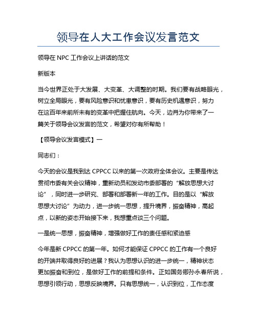 领导在人大工作会议发言范文