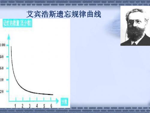 艾宾浩斯遗忘规律曲线