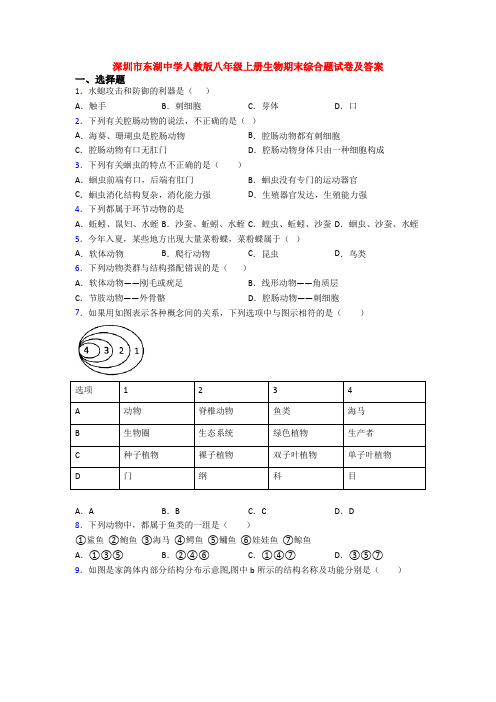 深圳市东湖中学人教版八年级上册生物期末综合题试卷及答案