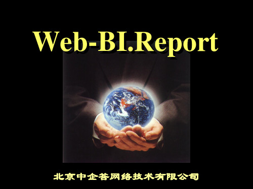 Web-BI产品介绍(3)