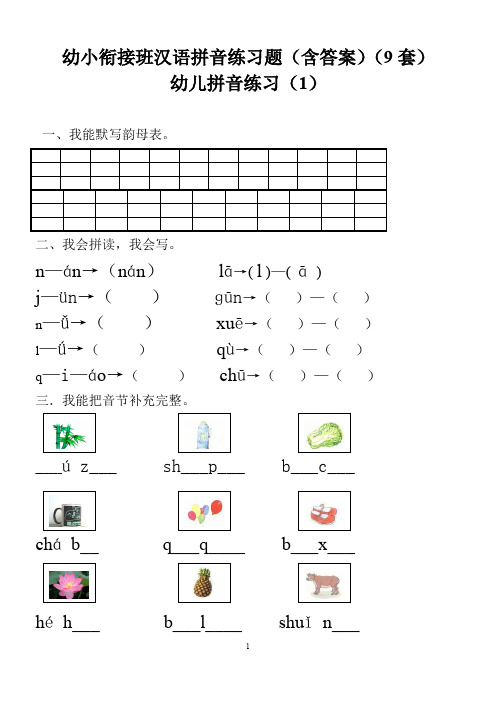 幼小衔接班汉语拼音练习题(含答案)(9套)